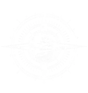 Voyage Financial Compass